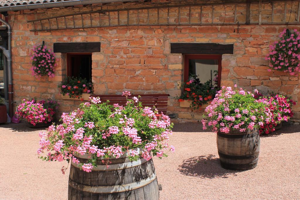 Le Moulin de Saint Verand Exterior foto